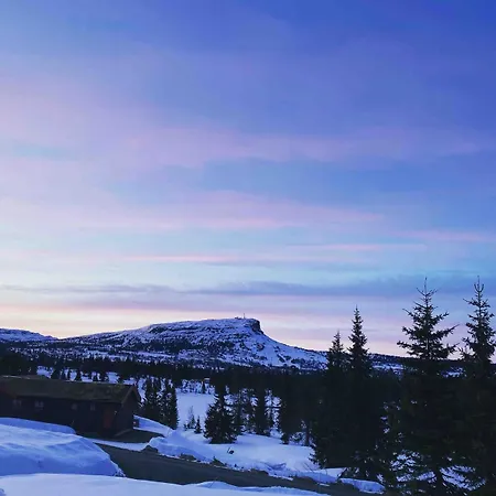 Trollslottet Pa Skeikampen * Aulstad