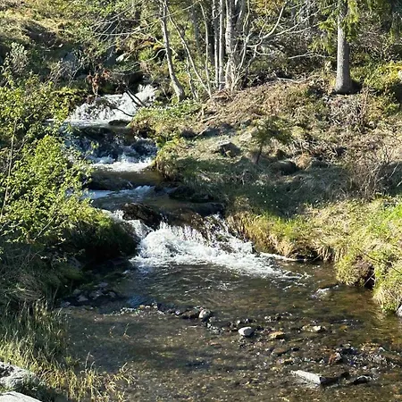 Trollslottet Pa Skeikampen Aulstad