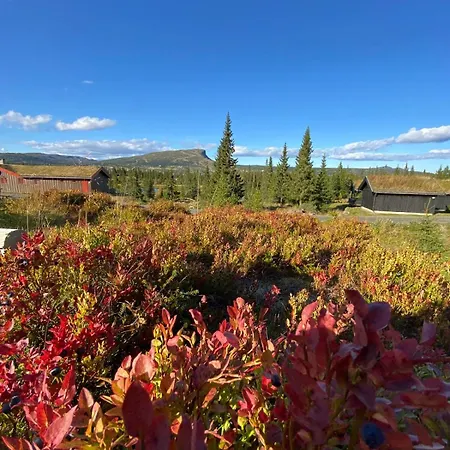 Trollslottet Pa Skeikampen *