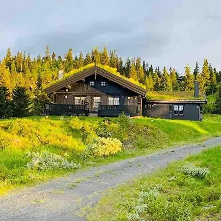 Holiday home Trollslottet Pa Skeikampen *