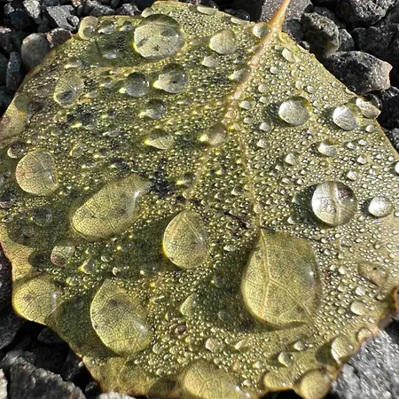 Trollslottet Pa Skeikampen * Aulstad