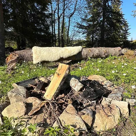 Trollslottet Pa Skeikampen Holiday home Aulstad