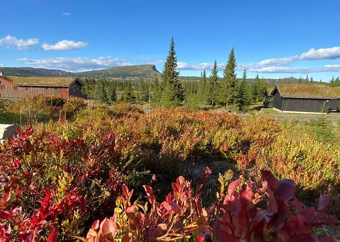 Trollslottet Pa Skeikampen *