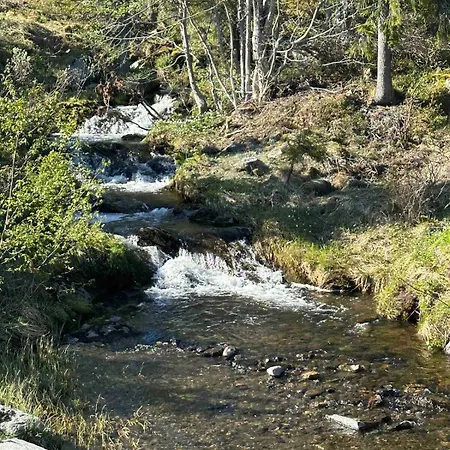 Trollslottet Pa Skeikampen Aulstad