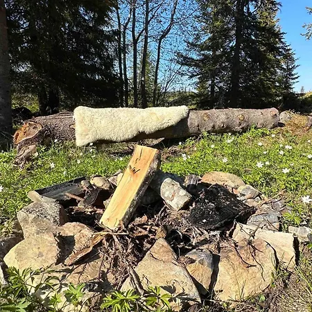 Trollslottet Pa Skeikampen Tatil Evi Aulstad